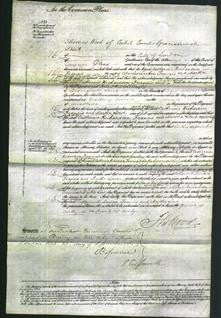 Court of Common Pleas - Catherine Richardson Francis and Martha Lowe-Original Ancestry