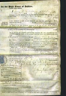 Court of Common Pleas - Sarah Eliza Hanson-Original Ancestry