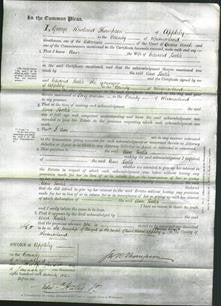 Court of Common Pleas - Ann Heelis-Original Ancestry