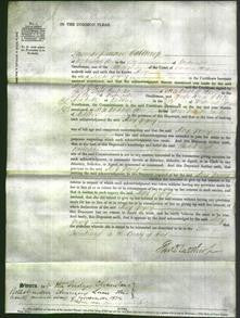 Court of Common Pleas - Mary Gregory-Original Ancestry