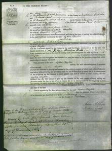 Court of Common Pleas - Lydia Clayton-Original Ancestry