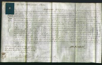 Court of Common Pleas - Mary Ann Cooke-Original Ancestry