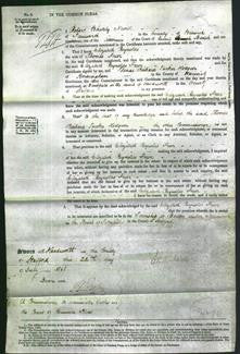 Court of Common Pleas - Elizabeth Reynolds Freer and Mary Jane Berrow-Original Ancestry