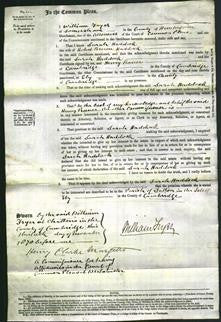 Court of Common Pleas - Sarah Haddock-Original Ancestry