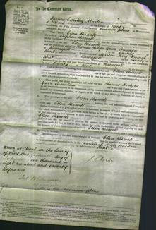 Court of Common Pleas - Ellen Hiscock-Original Ancestry