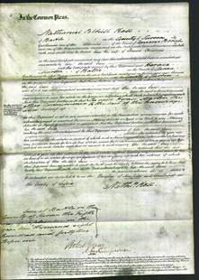 Court of Common Pleas - Jane Chrismas-Original Ancestry