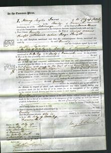 Court of Common Pleas - Emily Knight-Original Ancestry