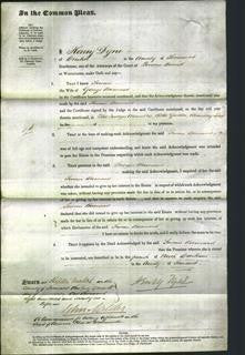 Court of Common Pleas - Susan Barnard-Original Ancestry