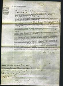 Court of Common Pleas - Susan Walmesley-Original Ancestry