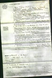 Court of Common Pleas - Elizabeth Reynolds Freer and Mary Jane Berrow-Original Ancestry