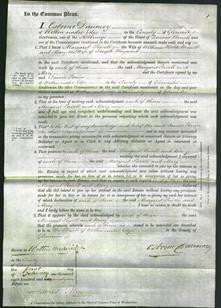 Court of Common Pleas - Margaret Pavell Minett and Mary Hayward-Original Ancestry