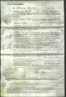 Court of Common Pleas - Emily Harriet Harris-Original Ancestry