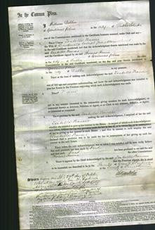 Court of Common Pleas - Isabella Frances Wood-Original Ancestry