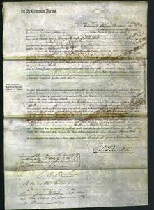 Court of Common Pleas - Mary Holt-Original Ancestry