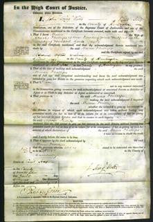 Court of Common Pleas - Maria Phillips-Original Ancestry