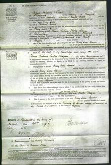 Court of Common Pleas - Mary Jane Berrow-Original Ancestry