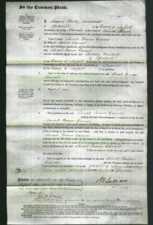 Court of Common Pleas - Sarah Ennew Garrod-Original Ancestry