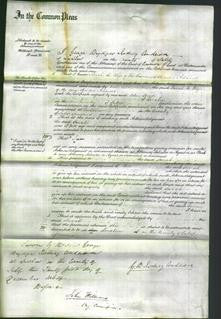 Court of Common Pleas - Sarah Adams-Original Ancestry