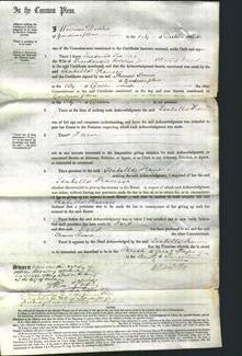 Court of Common Pleas - Isabella Frances Wood-Original Ancestry