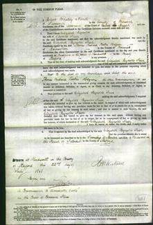 Court of Common Pleas - Elizabeth Reynolds Freer and Mary Jane Berrow-Original Ancestry