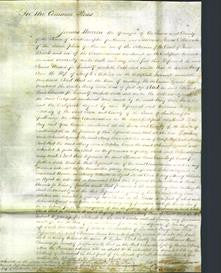 Court of Common Pleas - Mary Ann Metcher-Original Ancestry