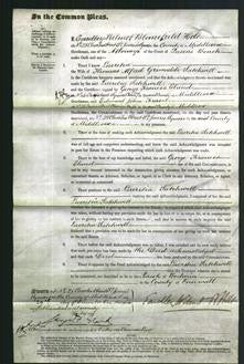 Court of Common Pleas - Lucretia Satchwell-Original Ancestry