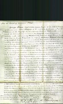 Court of Common Pleas - Elizabeth Warren-Original Ancestry