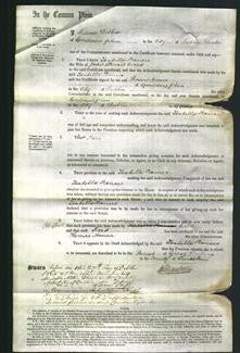 Court of Common Pleas - Isabella Frances Wood-Original Ancestry