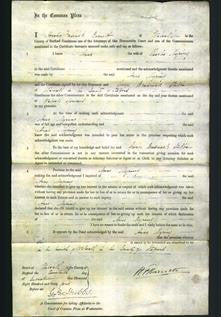 Court of Common Pleas - Anne Myring-Original Ancestry