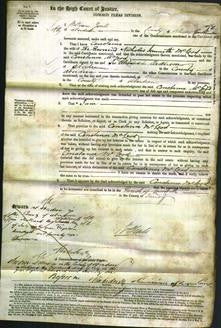 Court of Common Pleas - Constance McLeod-Original Ancestry