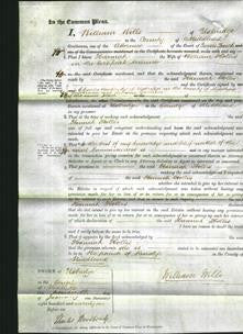 Court of Common Pleas - Hannah Hollis-Original Ancestry