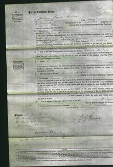 Court of Common Pleas - Emma Hudson-Original Ancestry