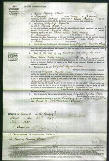 Court of Common Pleas - Elizabeth Reynolds Freer-Original Ancestry