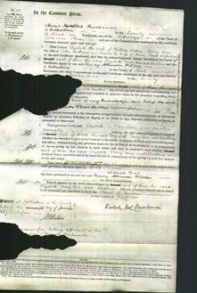 Court of Common Pleas - Elizabeth Waters, Mary Ann Andrews and Caroline Page-Original Ancestry