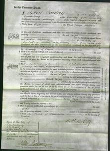 Court of Common Pleas - Eliza Holden-Original Ancestry