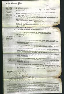 Court of Common Pleas - Isabella Frances Wood-Original Ancestry