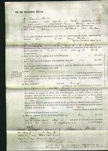 Court of Common Pleas - Mary Parker-Original Ancestry