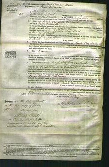 Court of Common Pleas - Sarah Elizabeth Colebrook-Original Ancestry