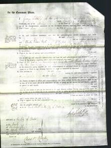 Court of Common Pleas - Jane Jackson-Original Ancestry