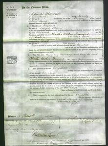 Court of Common Pleas - Elizabeth Thornes-Original Ancestry