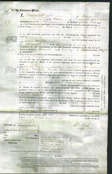 Court of Common Pleas - Edith Frances May-Original Ancestry