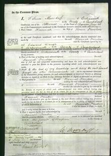 Court of Common Pleas - Hannah Freestone-Original Ancestry