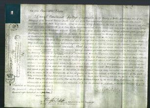 Court of Common Pleas - Betty Wilkinson-Original Ancestry