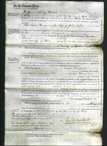 Court of Common Pleas - Margaret Sykes-Original Ancestry