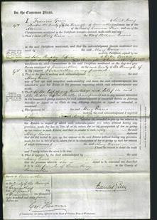 Court of Common Pleas - Mary Evans-Original Ancestry