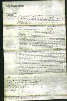 Court of Common Pleas - Eleanor Palmer-Original Ancestry