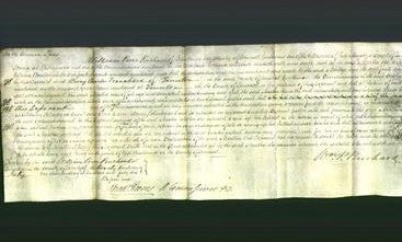 Court of Common Pleas - Martha Beadon-Original Ancestry
