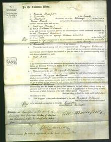 Court of Common Pleas - Margaret Wildman-Original Ancestry