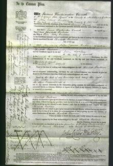 Court of Common Pleas - Charlotte Bartram-Original Ancestry