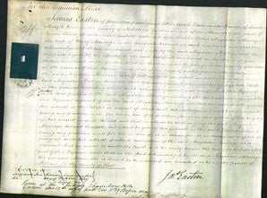 Court of Common Pleas - Magdalen Montague-Original Ancestry